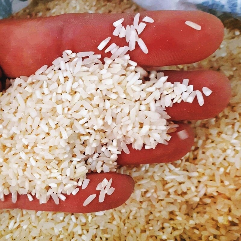برنج سرلاشه دودی صدری هاشمی  آستانه اشرفیه، دودی شده به روش هیزم سنتی، کاملا طبیعی، محصول خودم، به شرط بهترین کیفیت 
