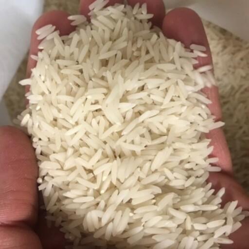 برنج راتون (وورزاکی، برنج وحشی) صدری هاشمی آستانه اشرفیه،ارگانیک، 10کیلوگرم
