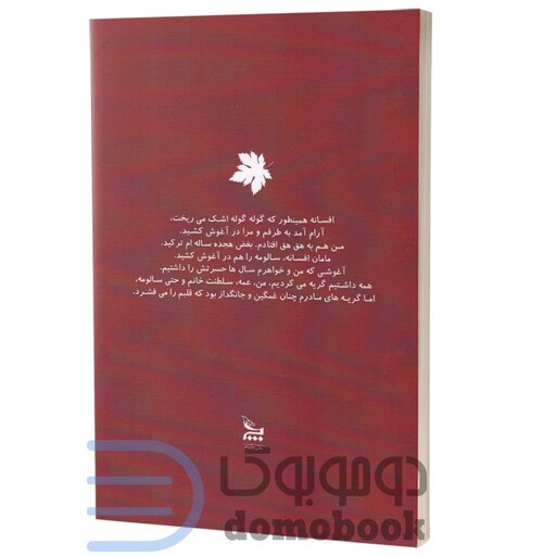 کتاب پیراهنش چهارخانه بود اثر مهدیه نصیری فر انتشارات چلچله