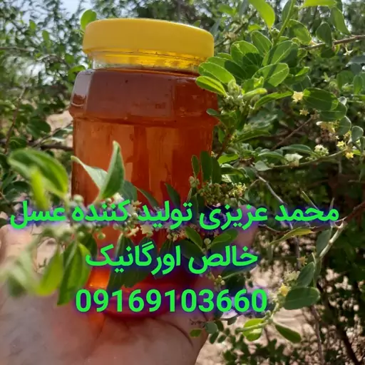 عسل کنار مسجدسلیمان