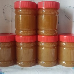 عسل طبیعی کنار 500 گرمی (ارسال رایگان) 