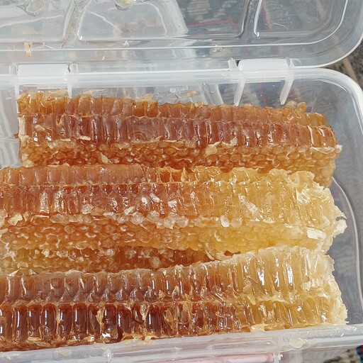 عسل موم دار  طبیعی صدرصد تضمینی با بسته بندی اعلا 