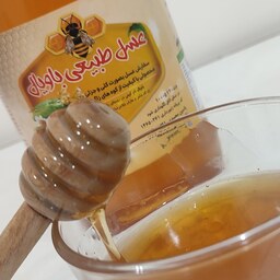 عسل طبیعی چهل گیاه (باویال) محصولی با کیفیت از کوههای زاگرس 