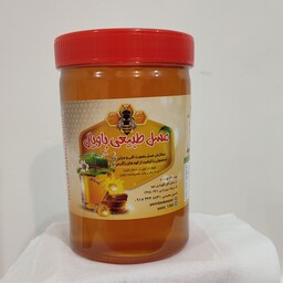 عسل طبیعی کُنار ایرانی 1 کیلویی محصولی طبیعی از کُنارستانهای بخش صالح آباد شهرستان مهران 