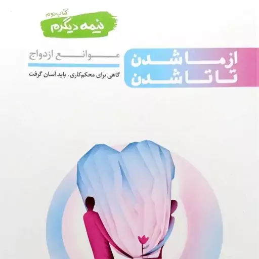 کتاب نیمه دیگرم جلد دوم (از ما شدن تا تا شدن) - نویسنده محسن عباسی ولدی