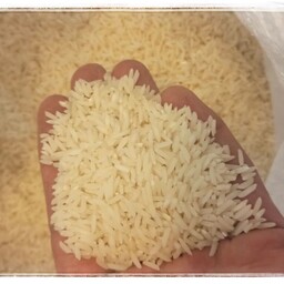 برنج نیم کیلویی (تست)طارم هاشمی ارگانیک محصول شالیزارهای دابودشت (فریدونکنار)