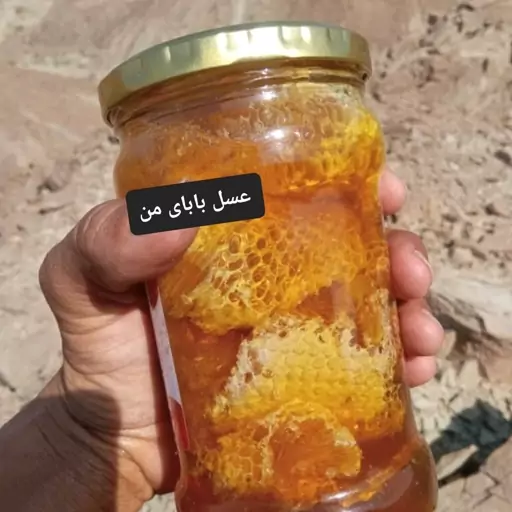 عسل وحشی درختی (1 کیلویی) سرعین 