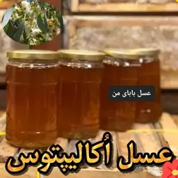  عسل طبیعی اکالیپتوس                                 