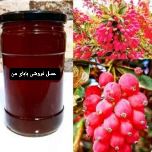 عسل طبیعی زرشک (1 کیلویی) 