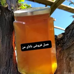 عسل آویشن کوهی