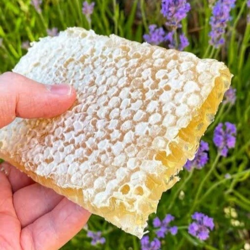 عسل طبیعی آویشن 