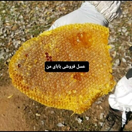 عسل طبیعی زعفران 