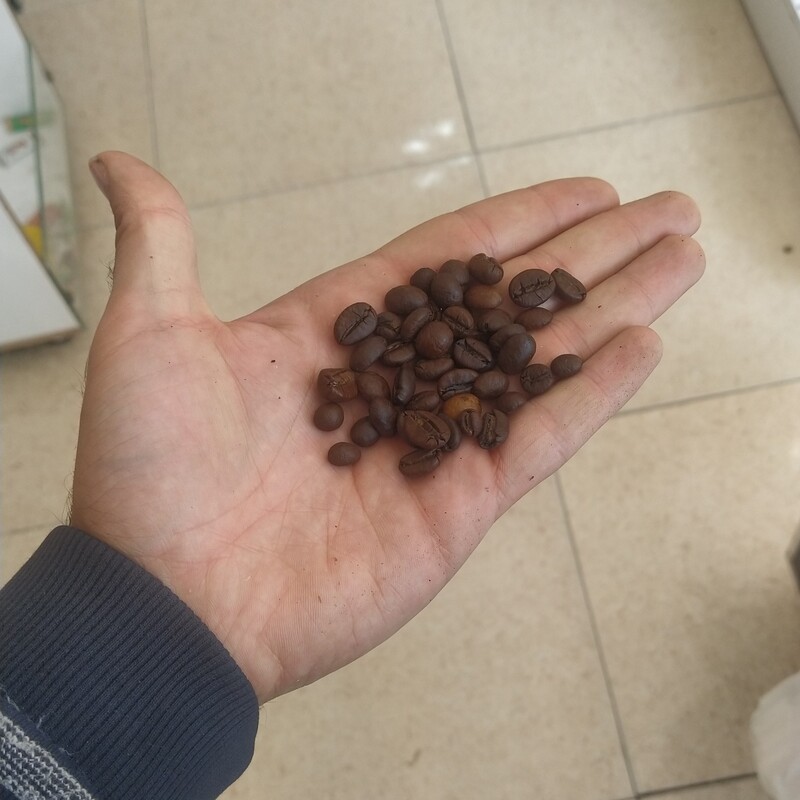 قهوه 80 در 20 درصد روبوستا عربیکا فله ای بسته 250گرمی