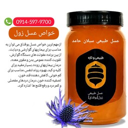 عسل زول چوچاق بوقناق طبیعی  1 کیلویی سبلان (مستقیم از زنبور دار )