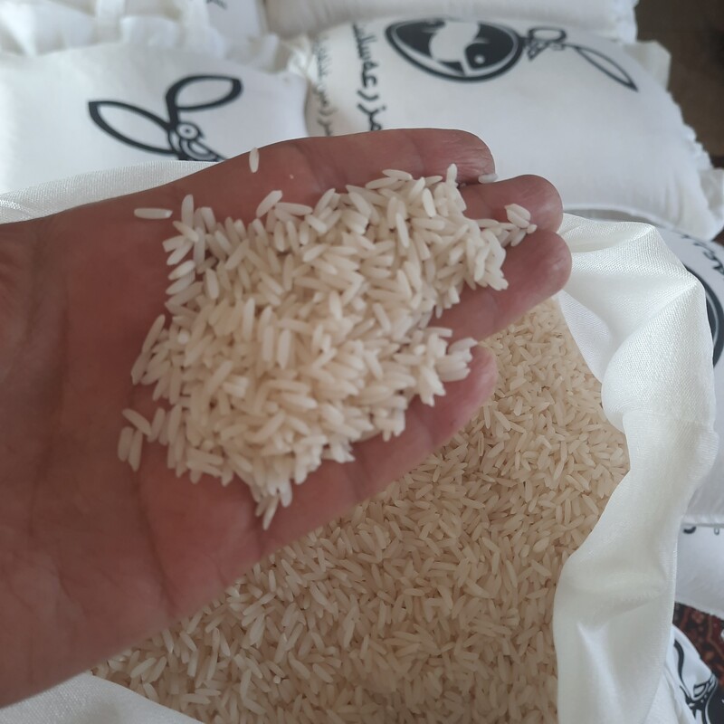 برنج هاشمی خالص مزرعه سلامت گیتی ،محصول شالیزارهای گیلان،خوش طعم،بسیا معطر ،در  کیسه های 10 کیلوگرم 