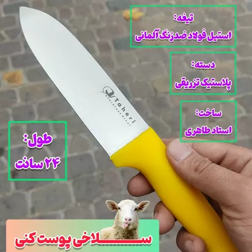 چاقوی زنجان چاقوی قصابی زنجان چاقوی سلاخی پوست کنی اصل زنجان ساخت استاد طاهری تیغه استیل فولاد ضدزنگ آلمانی چاقو زنجان