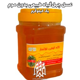 عسل چهل گیاه طبیعی خوانسار  ( یک کیلوگرم) عسل لاله کوهی