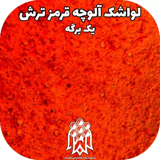 لواشک خانگی آلوچه قرمز ترش ( یک برگه ) خشکبار لاله کوهی