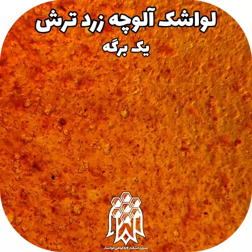 لواشک خانگی آلوچه زرد ترش ( یک برگه ) خشکبار لاله کوهی