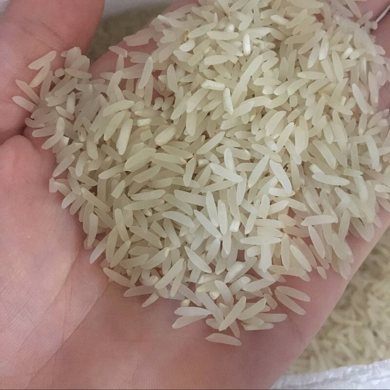 برنج فجر سوزنی گرگان امساله 10 کیلویی، آبیاری با چشمه و به شرط پخت(عطر و طعم بی نظیر)