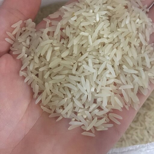 برنج  فجر سوزنی امساله  گرگان، بسته 10 کیلویی (ارسال رایگان)