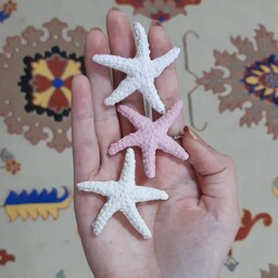 ستاره دریایی سنگی (بسته 10 عددی)