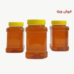 عسل طبیعی سبلان (ساکارز زیر3درصد) 3کیلویی مستقیم از زنبوردار