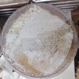 این عسل طبیعی محصول طبیعت بکر طارم و با موم در ظرفهای 2کیلویی عرضه میشود.
مغازه دارهای منطقه کیلویی تا250هزار 