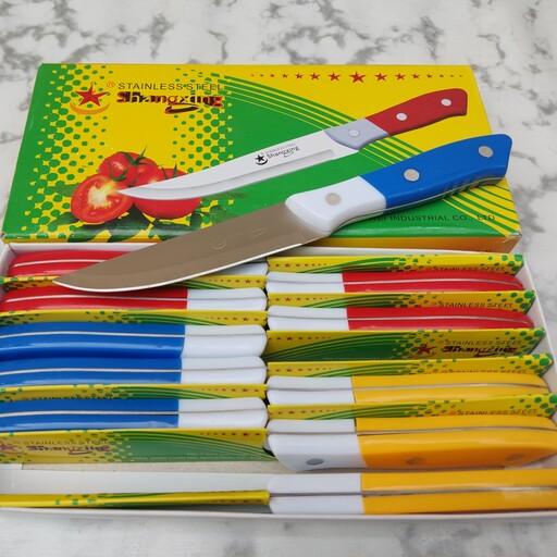 چاقو آشپزخانه رنگی استیل شانزین رنگ دسته آبی  (کارد آشپزخانه )