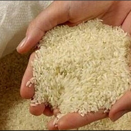 بهترین هاشمی 10کیلویی برنج ایرانی( (پسکرایه هزینه ارسال موقع تحویل به عهده مشتری)