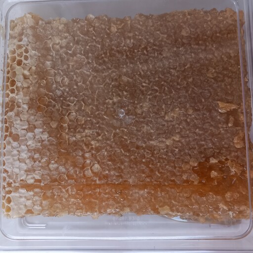 عسل طبیعی موم دار مستقیم از زنبور دار (2 بسته 850 گرمی)(شهد فایق ایران)