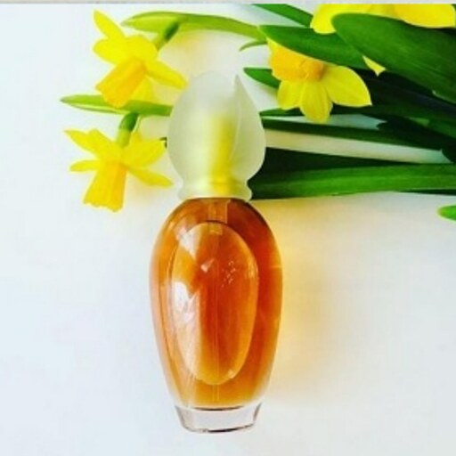 عطر کلوهه نارسیس   Chloe Narcisse  خلوص 100 درصد