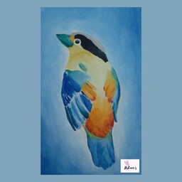 نقاشی پرنده با رنگ ابرنگ و گواش روی بوم 20 در 30