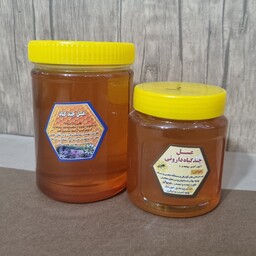 عسل چند گیاه تقویت دستگاه گوارش ،تنفس و... یک کیلو گرمی