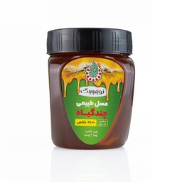 عسل چندگیاه کوهستان  500 گرمی ، طعم و کیفیتی متمایز و سرشار خواص عسل و گیاهان درمانی