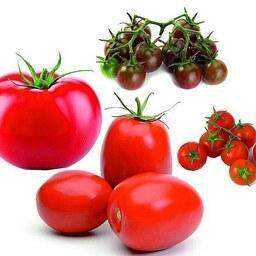 بذر گوجه فرنگی هیبرید میکس آمریکایی فوق پربار بسته 10 عددی