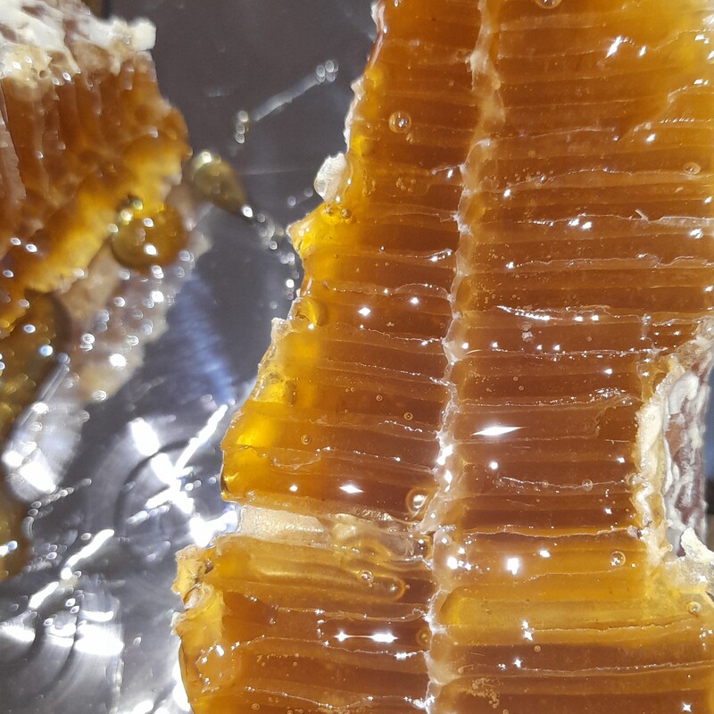 عسل با موم طبیعی و ارگانیک                                   بسته بندی های 900 گرمی 
