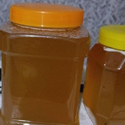 عسل چهل گیاه خالص کوه دنا (پک 3کیلوگرمی)