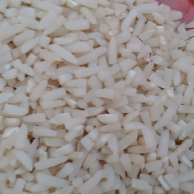 برنج نیم دانه دم سیاه بسته 10 کیلویی