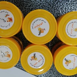 پکیج بسته بندی 100 گرمی از هر نمونه عسل