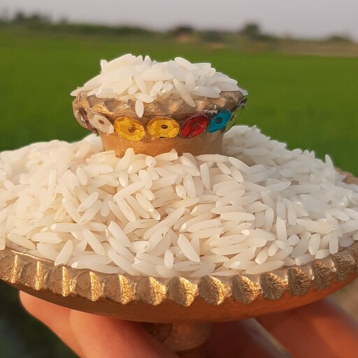 برنج طارم فجری ✔️10کیلویی✔️
ارسال رایگان