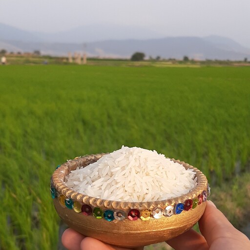 برنج دمسیاه اعلا 10کیلویی 
ارسال رایگان