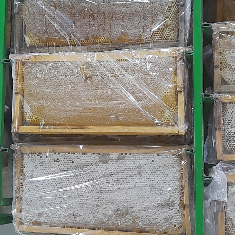 عسل ارگانیک و طبیعی کوهستان   خلخال ،با موم خودبافت با ساکارز زیر سه  فروش  مستقیم اززنبورستان (در ظرف مخصوص یک کیلویی )