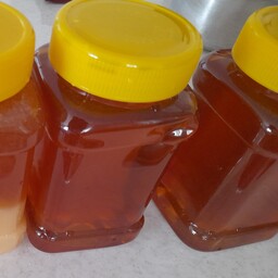 عسل بدون موم  ارگانیک کوهستان ،   محصولی از طبیعت بکر آق داغ خلخال  ((شهد)) با ساکارز زیر سه((در ظرف مخصوص یک کیلویی ))
