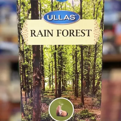 عود ابشاری جنگل بارانی عود rain forest عود مخروطی 10 عددی