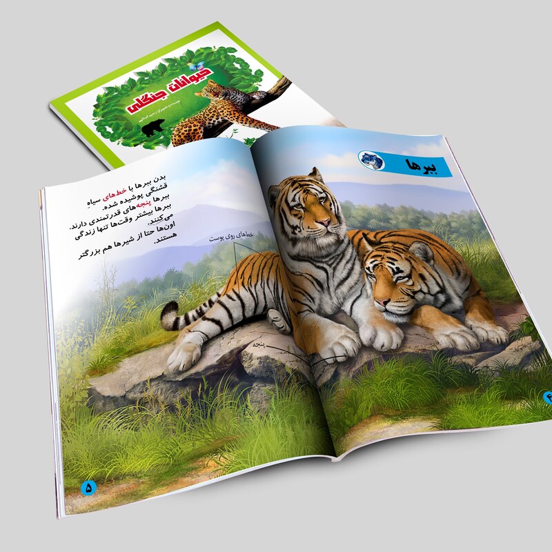 حیوانات جنگلی (انتشارات گهواره - آشنایی با حیوانات