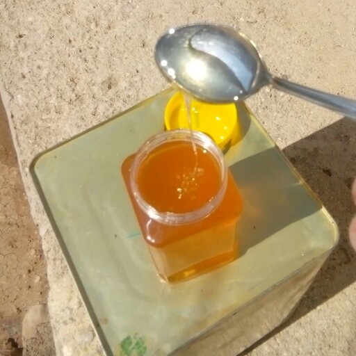 عسل گون یک کیلویی و طبیعی و خوش طعم 