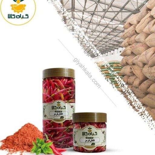 فلفل قرمز با کیفیت عالی، بار امسالی و تازه(250گرمی )