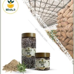  بوقناق با کیفیت عالی، بار امسالی و تازه (250 گرمی)