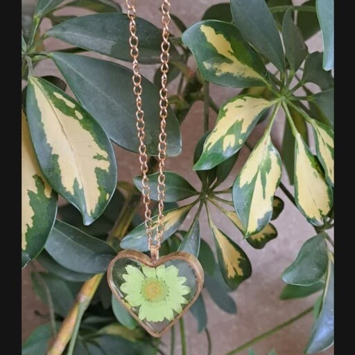 گردنبند رزینی با گل بابونه طبیعی   سبز آبی  با قاب طلایی قلب یا دایره  با زنجیر رنگ ثابت طلایی ویا با بند سبز آبی 